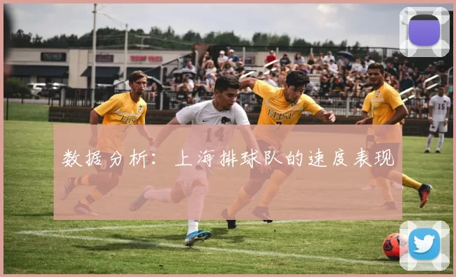 数据分析：上海排球队的速度表现