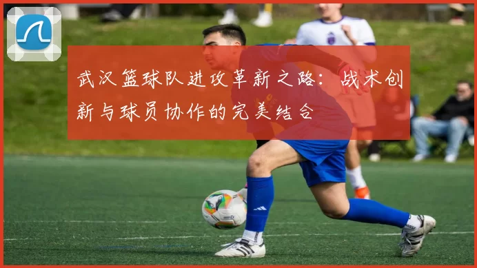 武汉篮球队进攻革新之路：战术创新与球员协作的完美结合