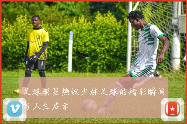 足球明星热议少林足球的精彩瞬间与人生启示