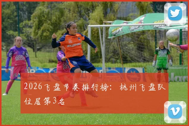 2026飞盘节奏排行榜：杭州飞盘队位居第3名