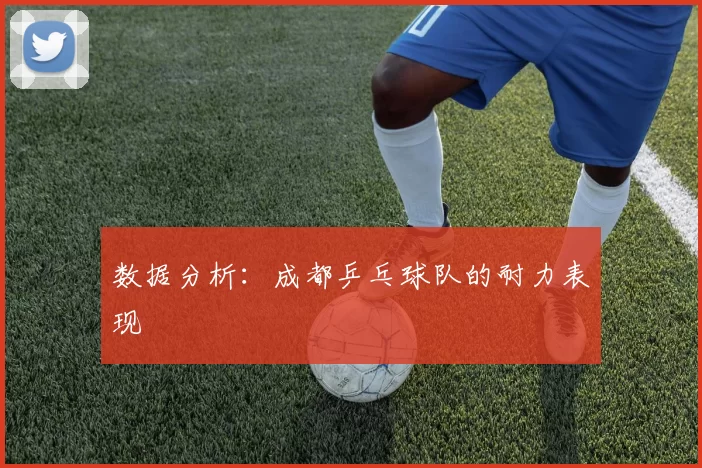 数据分析：成都乒乓球队的耐力表现