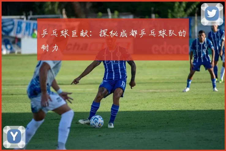 乒乓球巨献：探秘成都乒乓球队的耐力